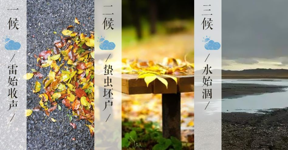 231663893150164782.jpeg 2.jpg