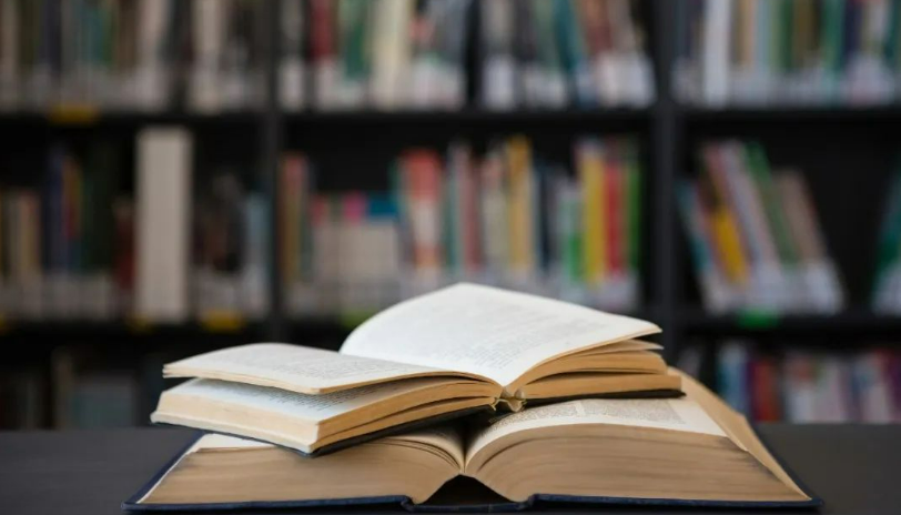 131731456281456678.png 1731456270713.png